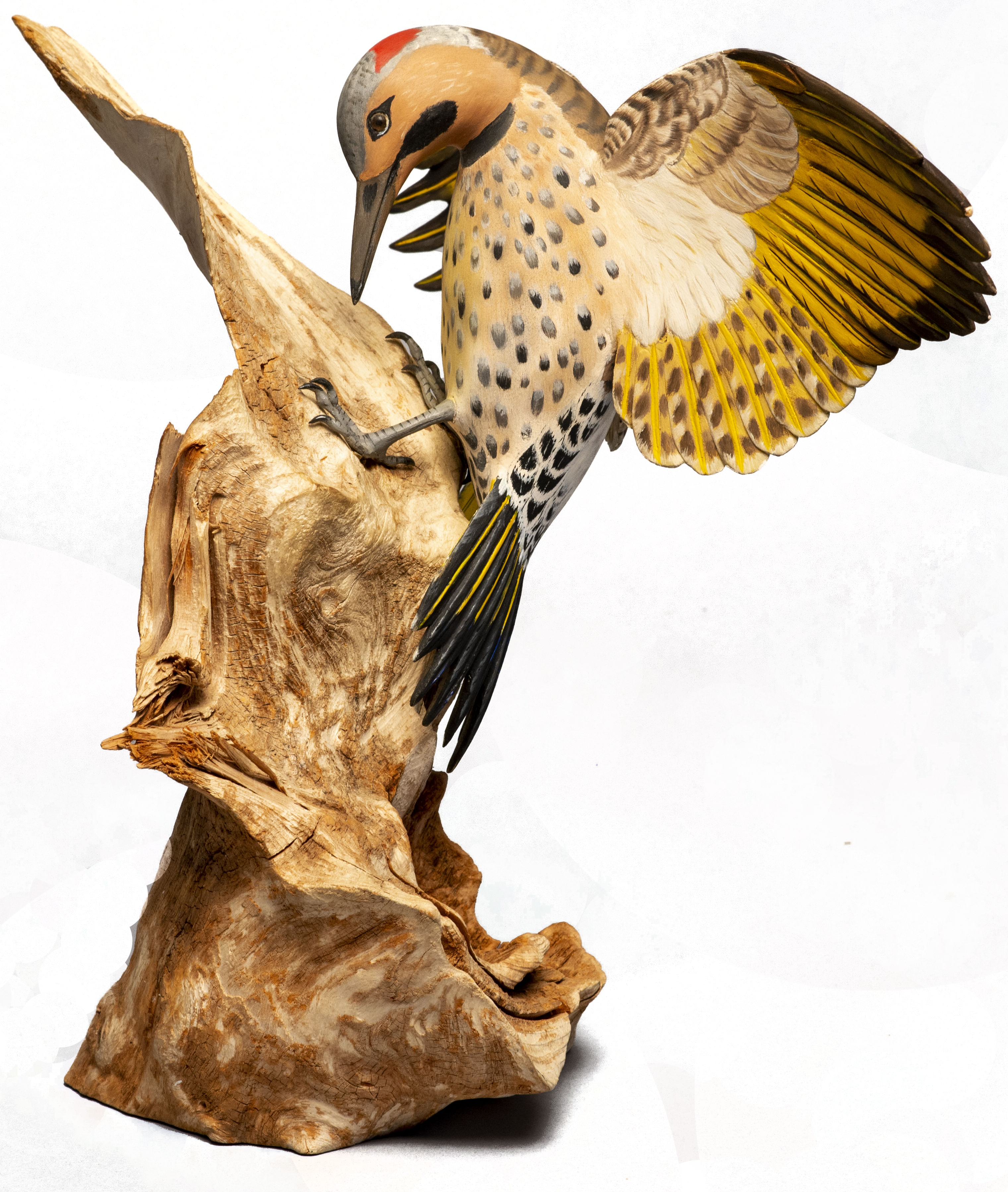 wooden bird carvings